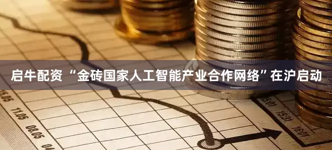 启牛配资 “金砖国家人工智能产业合作网络”在沪启动