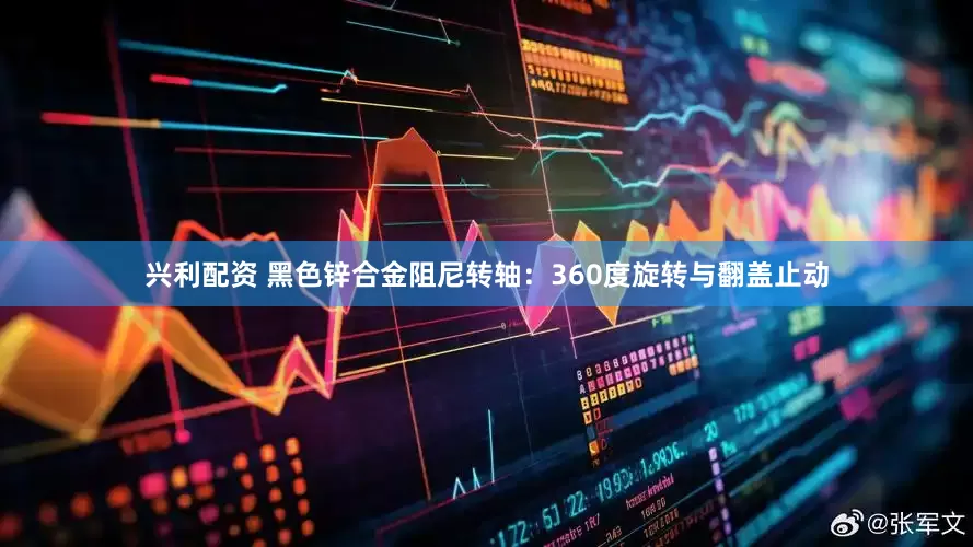 兴利配资 黑色锌合金阻尼转轴：360度旋转与翻盖止动