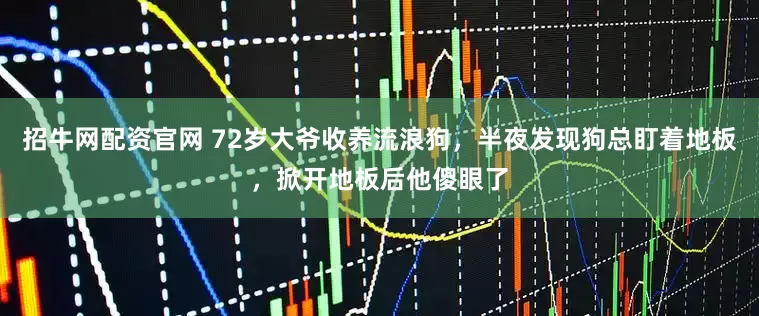 招牛网配资官网 72岁大爷收养流浪狗，半夜发现狗总盯着地板，掀开地板后他傻眼了